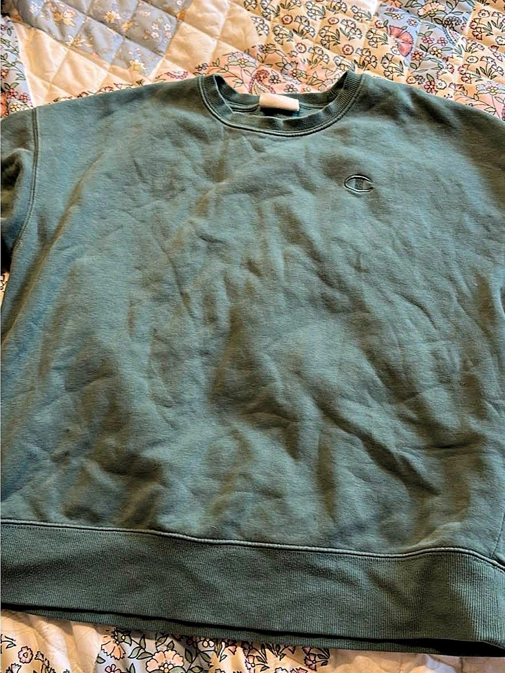 Champion women’s Crewneck Sweatshirt Green Small
